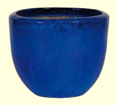 GL26