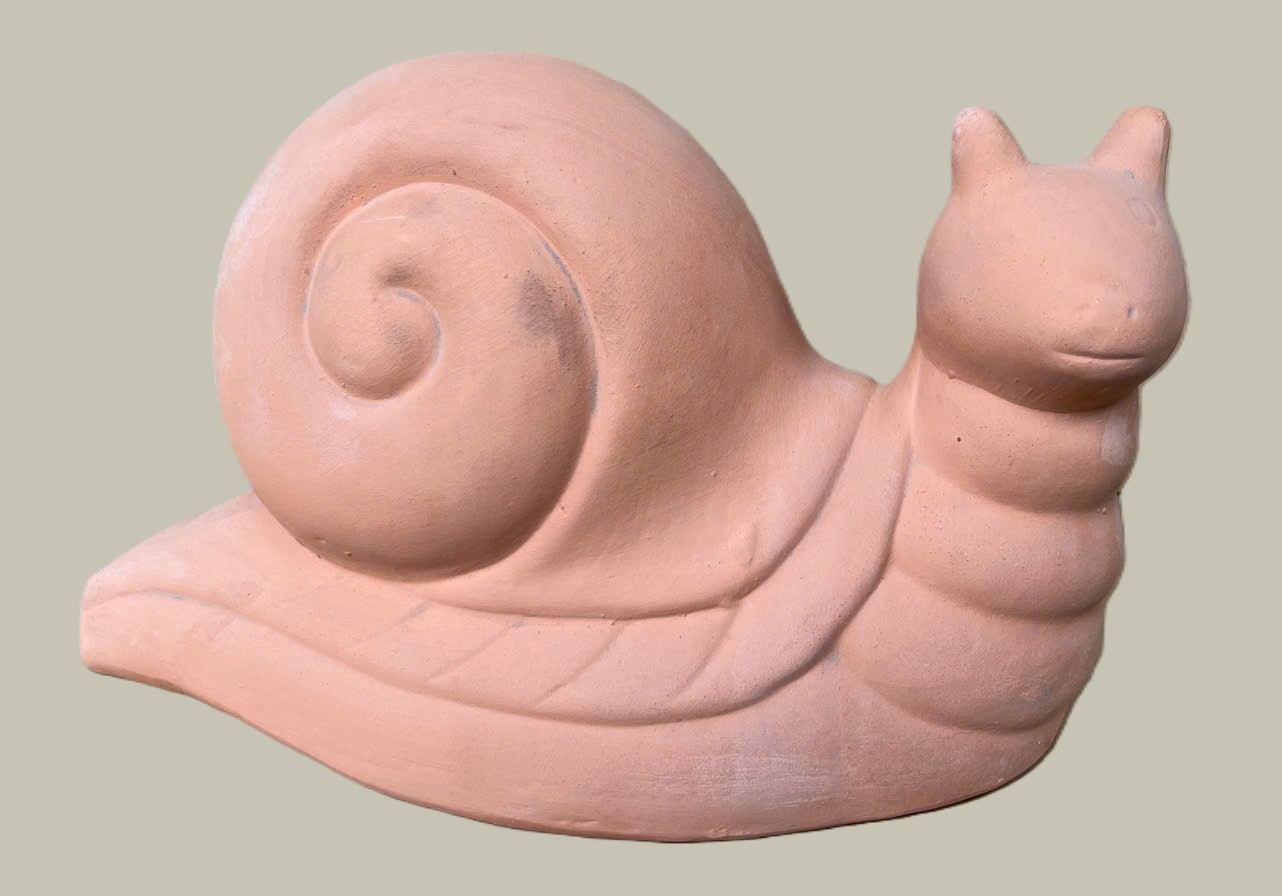 SC41